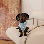 Dachshund Anti-Static Stretch Vest