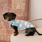 Dachshund Anti-Static Stretch Vest