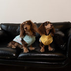 Dachshund Kühlende Sommerkleidung