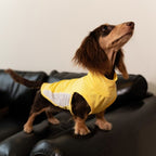 Dachshund Kühlende Sommerkleidung