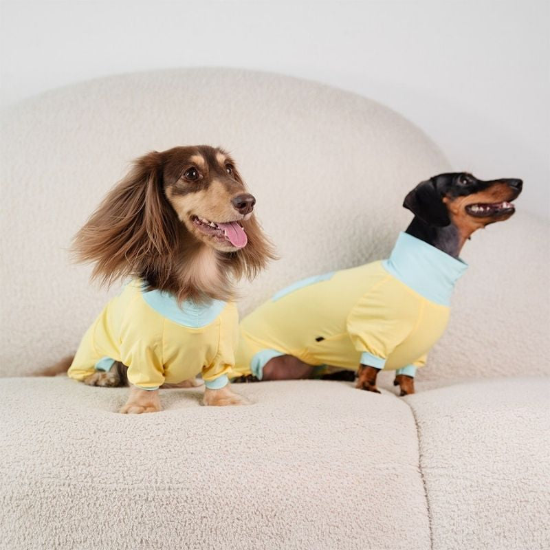 Dachshund-Kühlanzug für den Sommer – Gelb