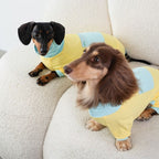 Dachshund Cooling Summer Suit - Yellow