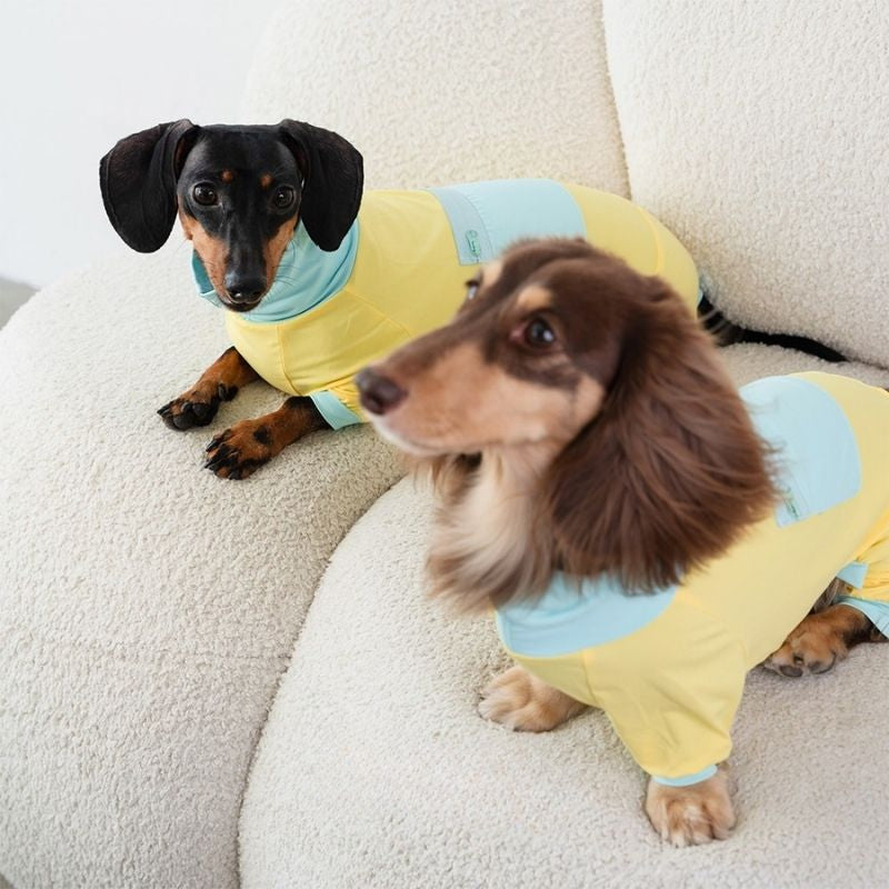 Dachshund-Kühlanzug für den Sommer – Gelb
