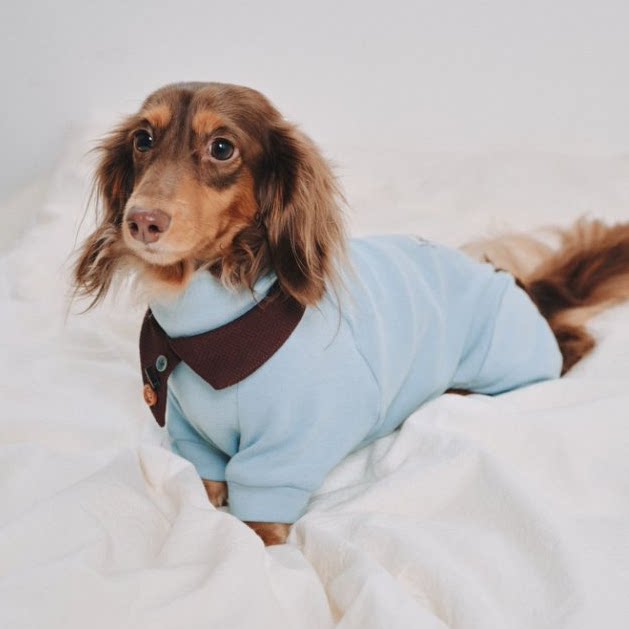 Dachshund Fleece-Hundeoverall