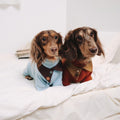Dachshund Fleece-Hundeoverall