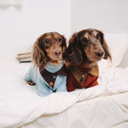 Dachshund Fleece-Hundeoverall