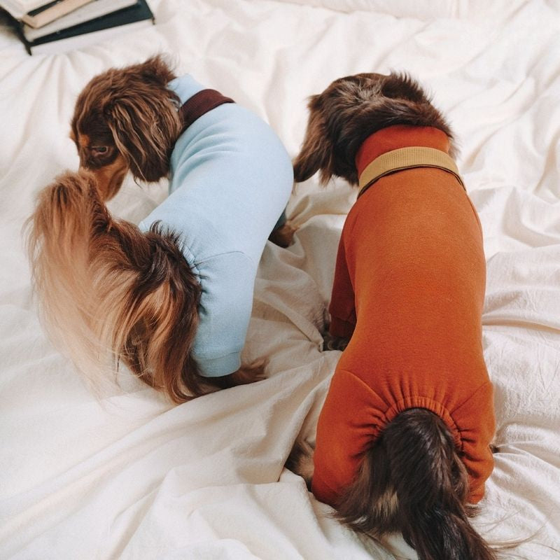 Dachshund Fleece-Hundeoverall