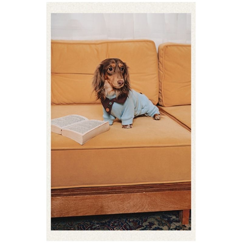 Dachshund Fleece-Hundeoverall