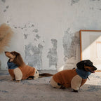 Dachshund Fleece Winter Onesie