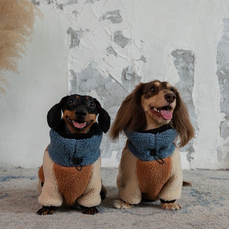 Dachshund Fleece Winter Onesie