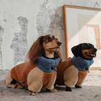 Dachshund Fleece Winter Onesie