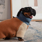 Dachshund Fleece Winter Onesie