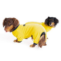 Dachshund wearing a stretch polo bodysuit