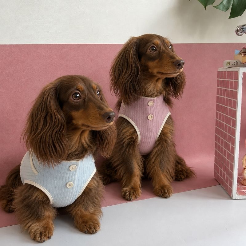 Dachshund Sommer Atmungsaktive Weste