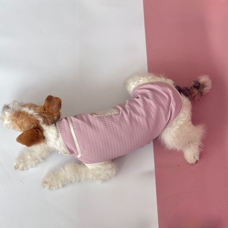 Dachshund Sommer Atmungsaktive Weste