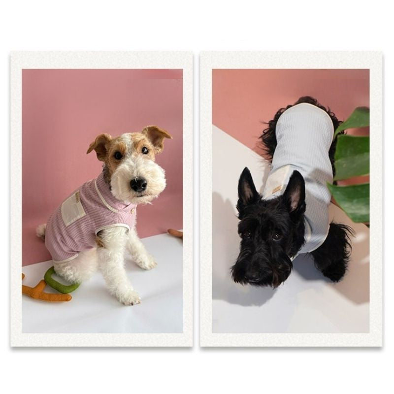 Dachshund Summer Breathable Vest