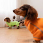 Dachshund-Waffelstrickpullover