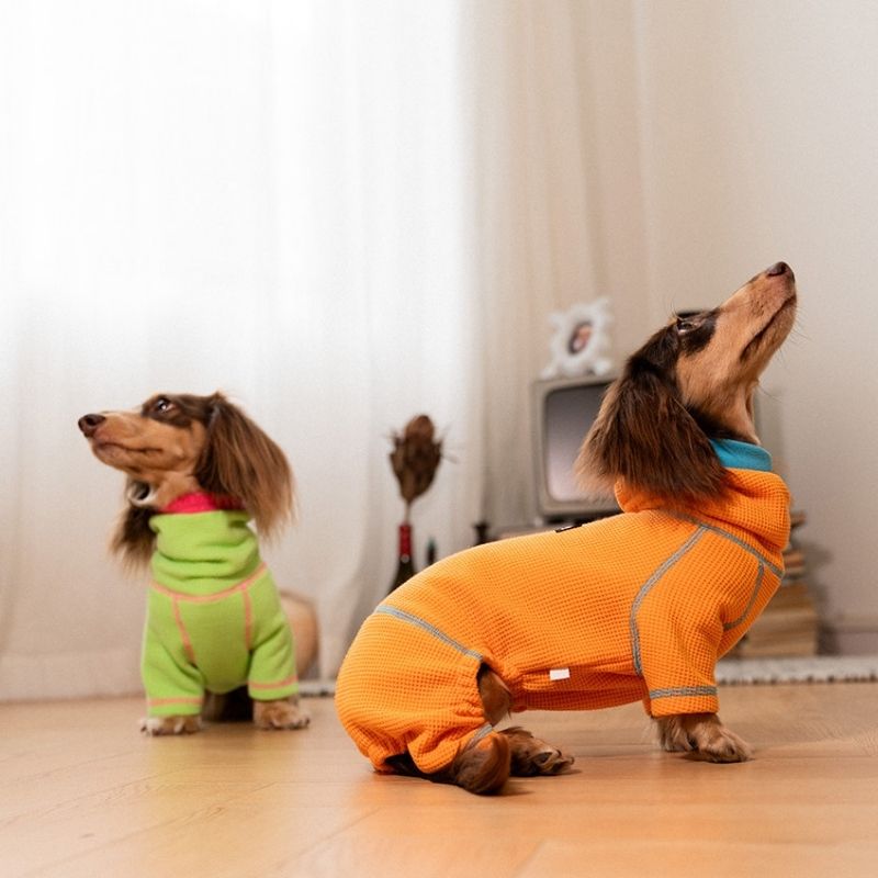 Cozy knit pullover for dachshunds