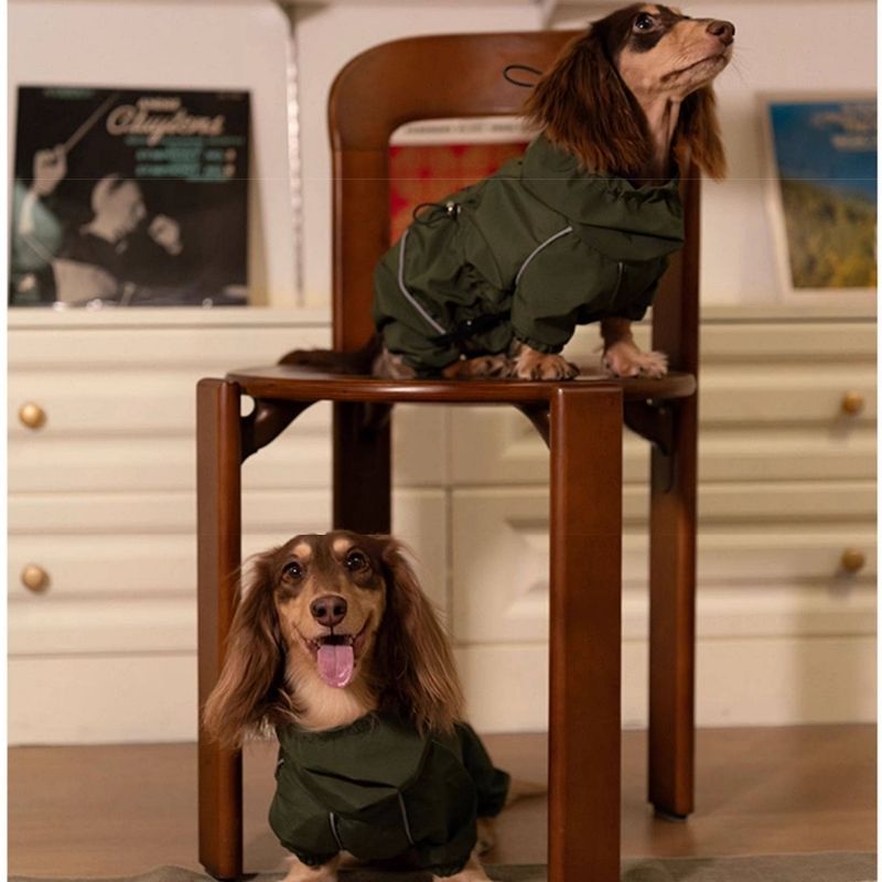 Dachshund Wasserdichte Outdoor-Jacke