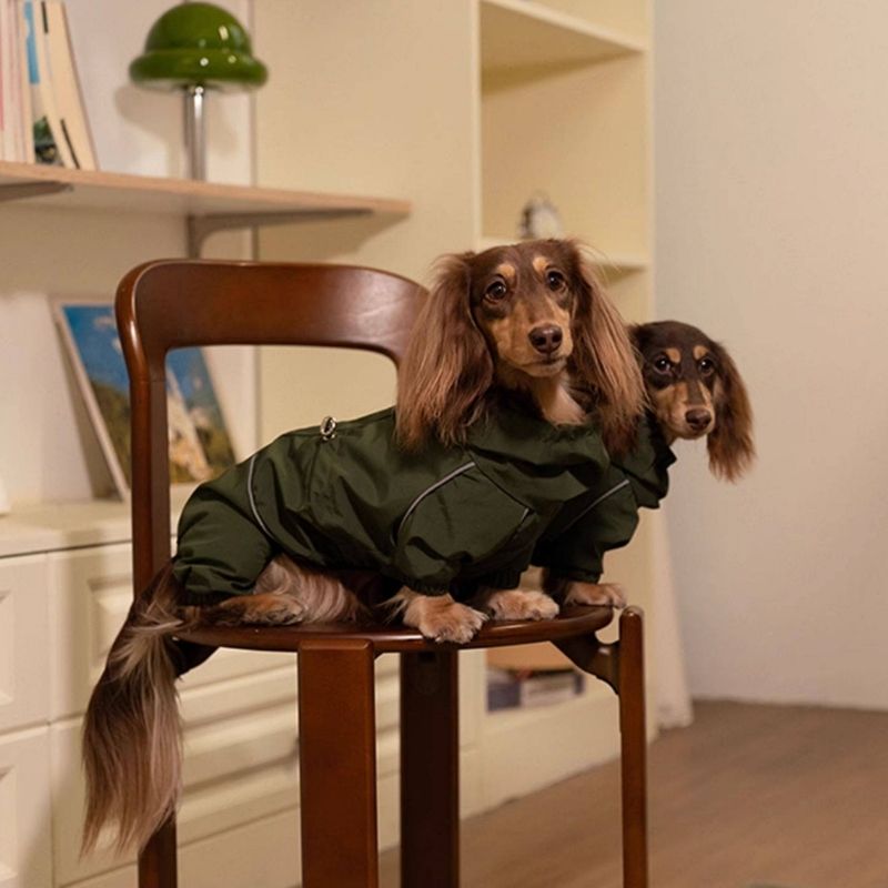 Dachshund Wasserdichte Outdoor-Jacke