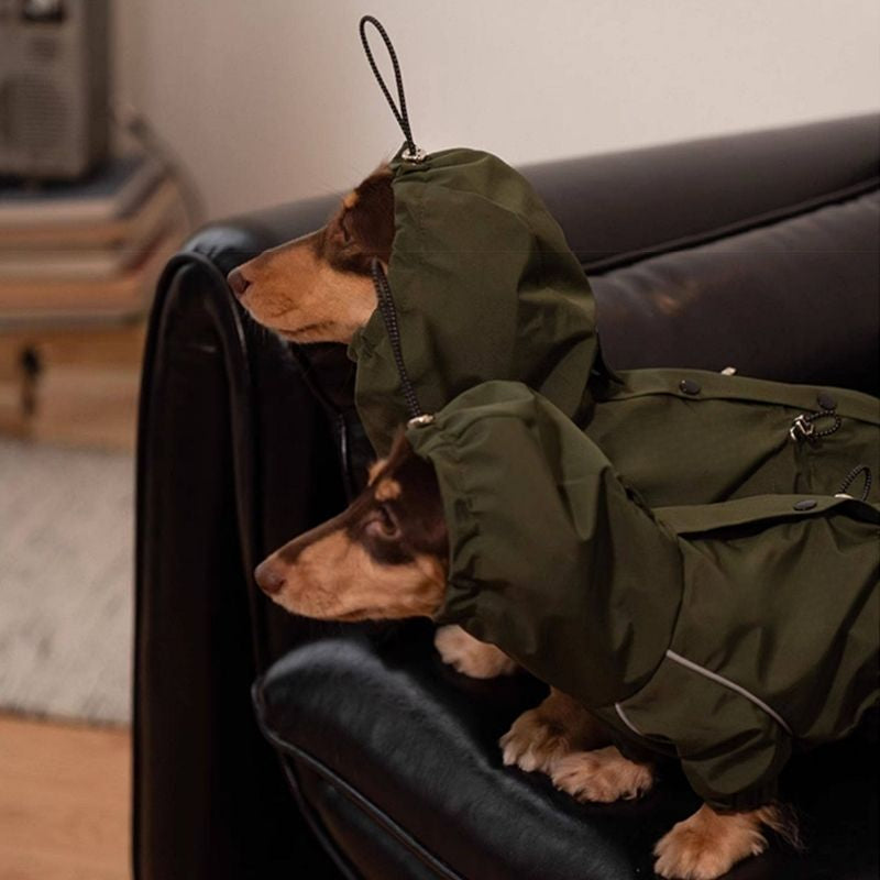 Dachshund Waterproof Outdoor Jacket