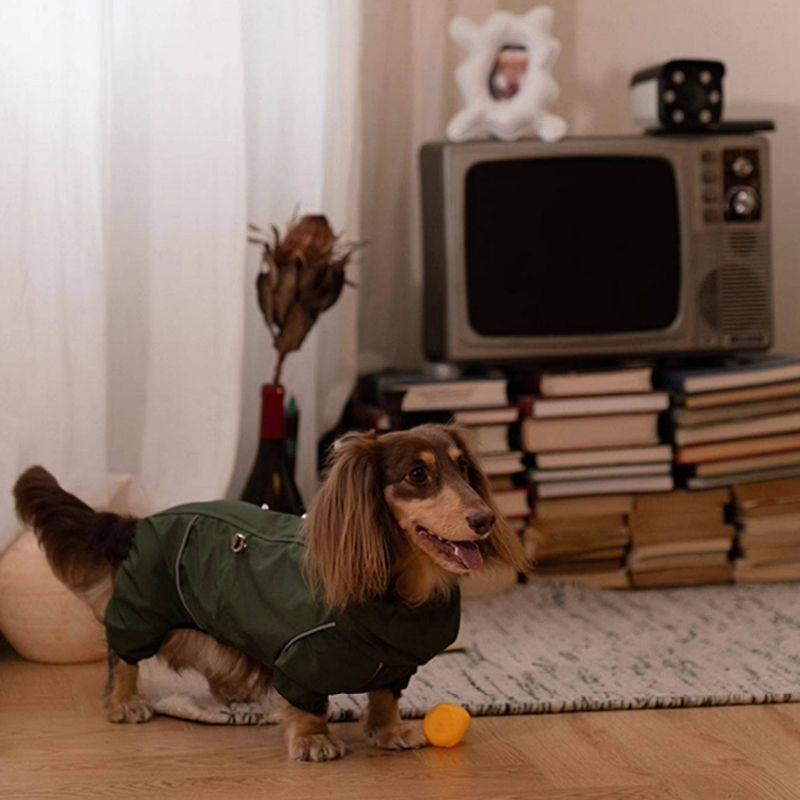Dachshund Wasserdichte Outdoor-Jacke
