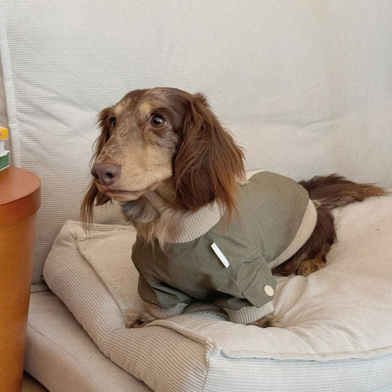 Dachshund Winddichte Outdoor-Jacke