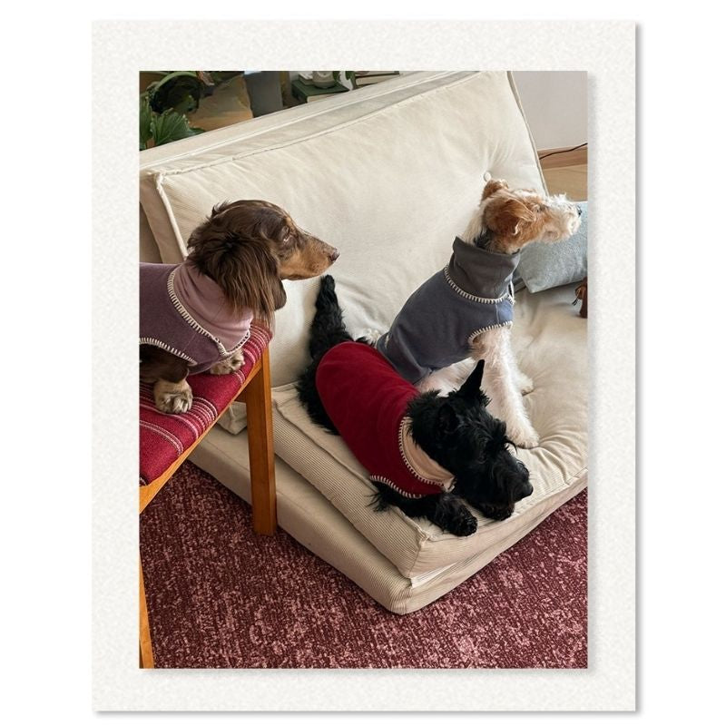 Dachshund Winterstrickweste