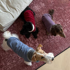 Dachshund Winter Knit Vest