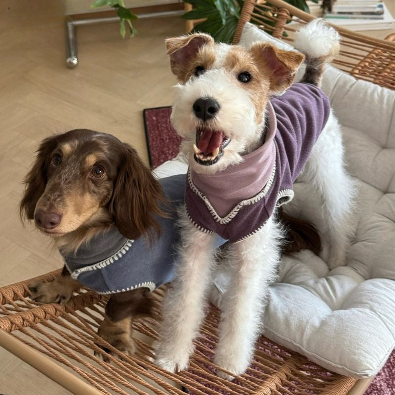 Dachshund Winterstrickweste