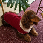 Dachshund Winter Knit Vest