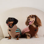 Dachshund wearing a warm winter sweater vest