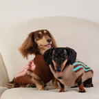 Dachshund winter sweater vest available in multiple colors