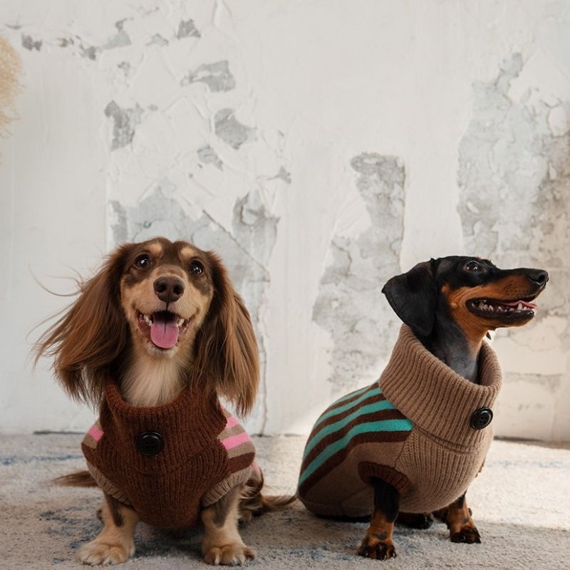 Dachshund Winterpulloverweste