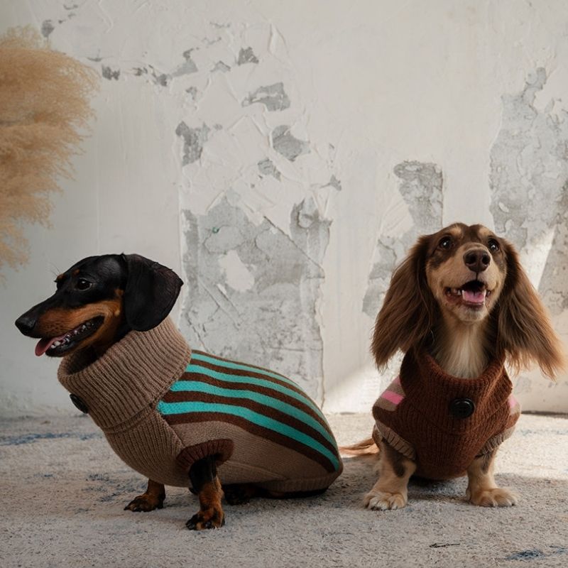 Winter sweater vest for dachshunds