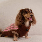 Dachshund Winter Sweater Vest