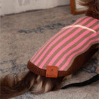 Cute weenie dog sweater for winter walks