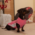 Dachshund Kühlende Sommerkleidung