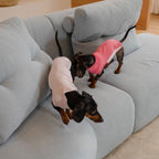 Dachshund Kühlende Sommerkleidung