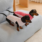 Dachshund Kühlende Sommerkleidung