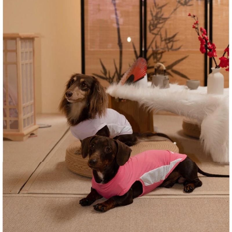 Dachshund Kühlende Sommerkleidung