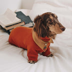 Dachshund Fleece-Hundeoverall