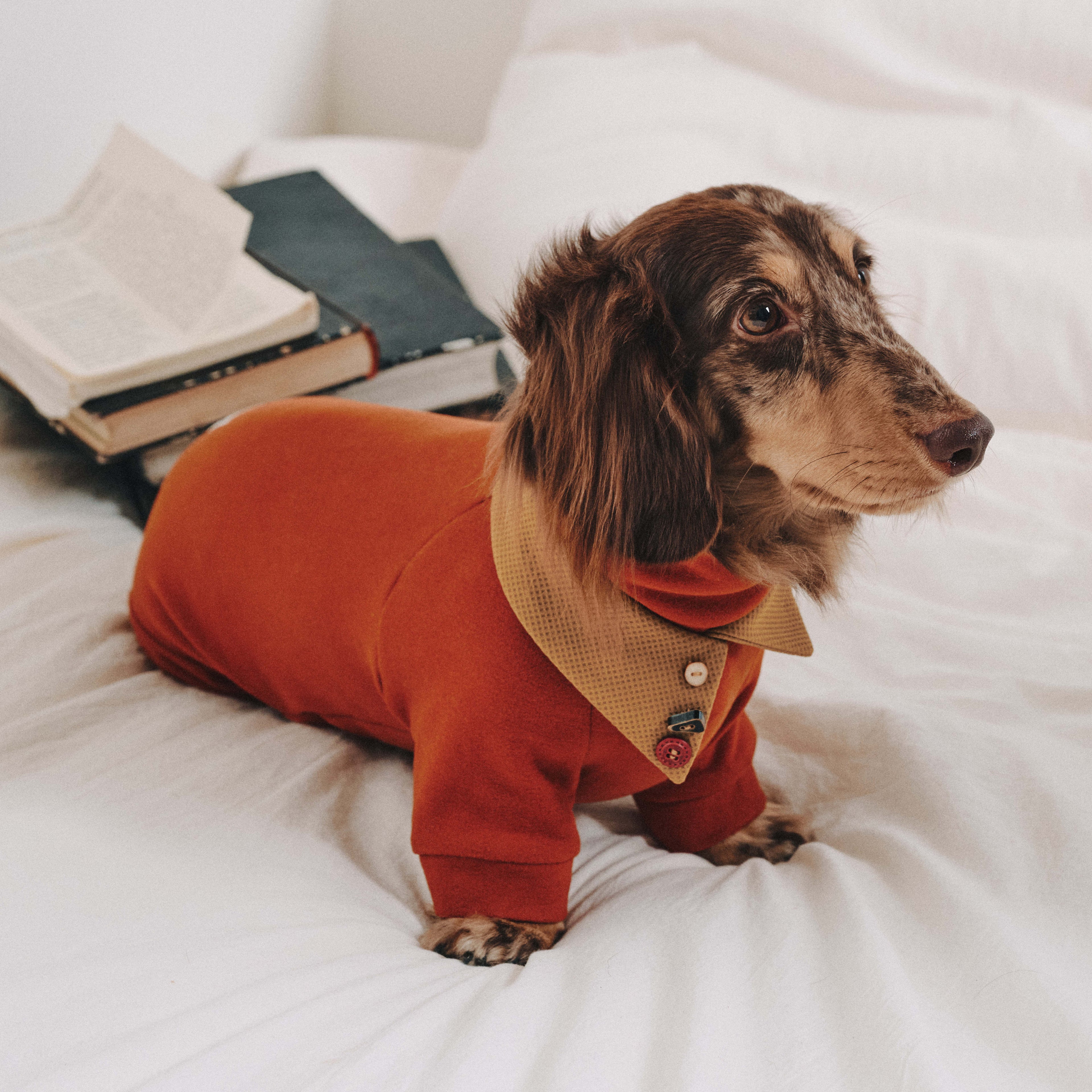 Dachshund Fleece-Hundeoverall
