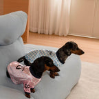 Cute dachshund wearing a retro football jersey
