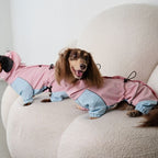 Dachshund Waterproof Outdoor Jacket - Pink&Blue