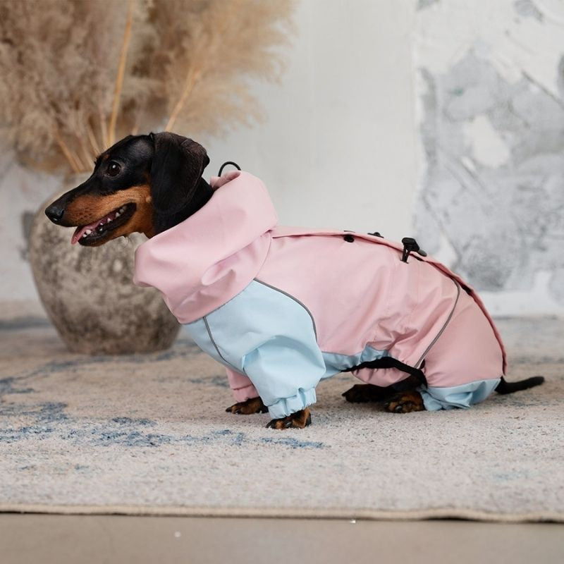 Dackel Wasserfeste Outdoorjacke - Pink&Blau