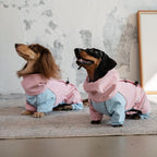 Dachshund Waterproof Outdoor Jacket - Pink&Blue