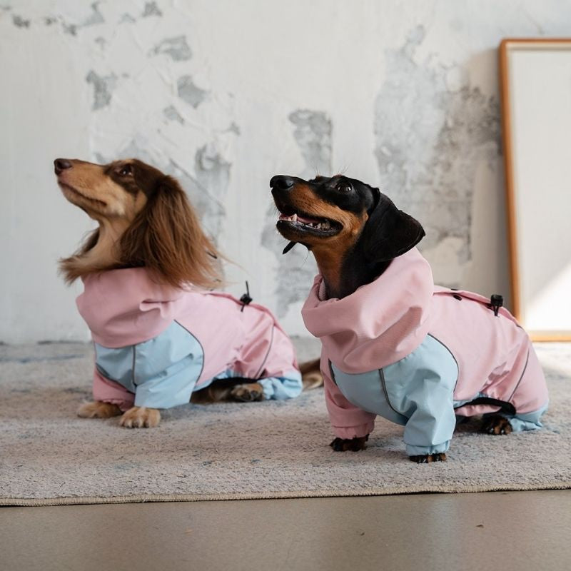 Dachshund Waterproof Outdoor Jacket - Pink&Blue