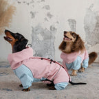 Dachshund Waterproof Outdoor Jacket - Pink&Blue